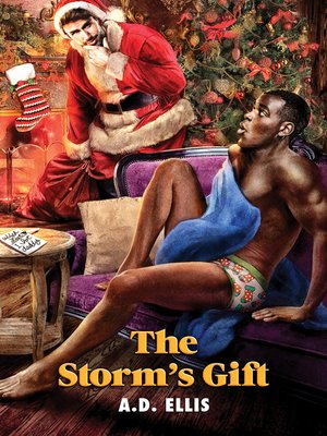 cover image of The Storm's Gift